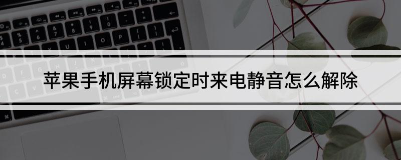 苹果手机以静音的来电苹果来电静音了怎么调回来