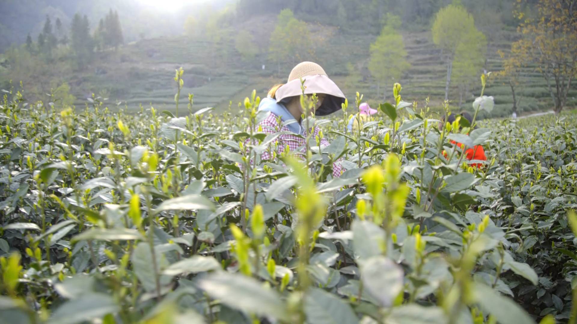 手机密码破解:新华视点｜智慧平台破解传统产业发展密码-第5张图片-太平洋在线下载