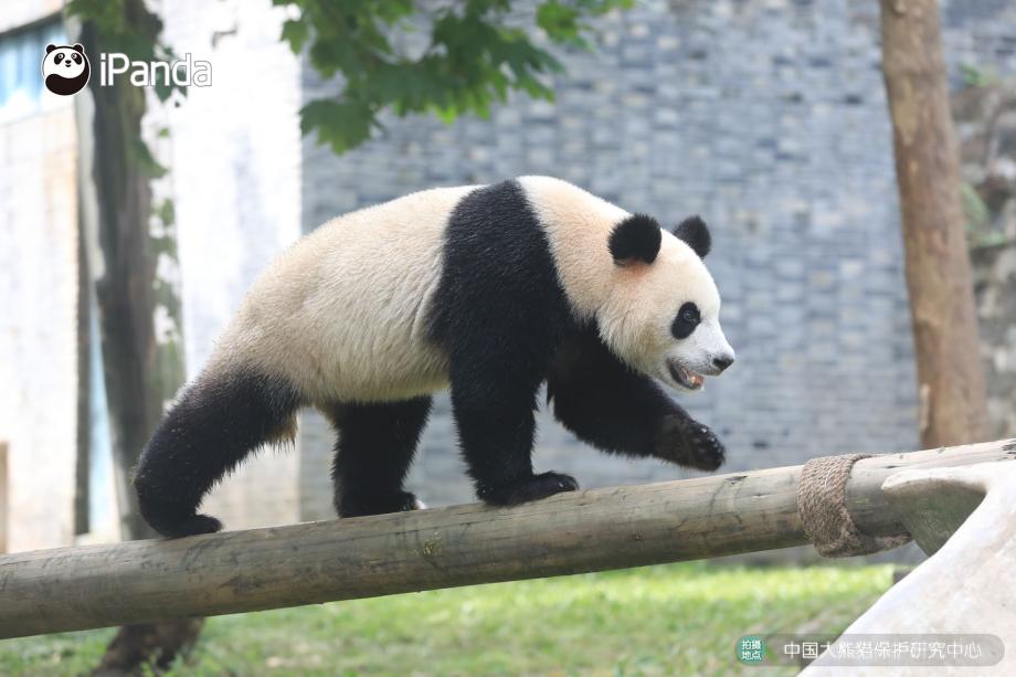 躺平客户端躺平游戏下载-第1张图片-太平洋在线下载