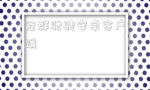 冠群驰骋安卓客户端冠群驰骋北京东城区立案