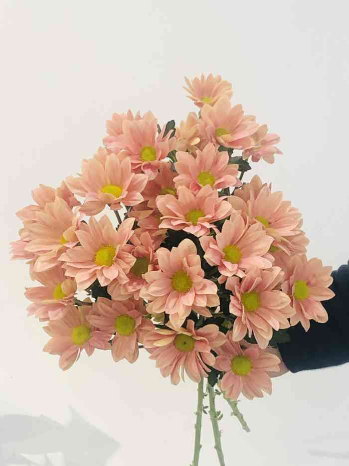 妥妥花苹果版(妥妥赚平果app下载)-第9张图片-有道翻译官网 妥妥花苹果版(妥妥赚平果app下载)-第9张图片-有道翻译官网