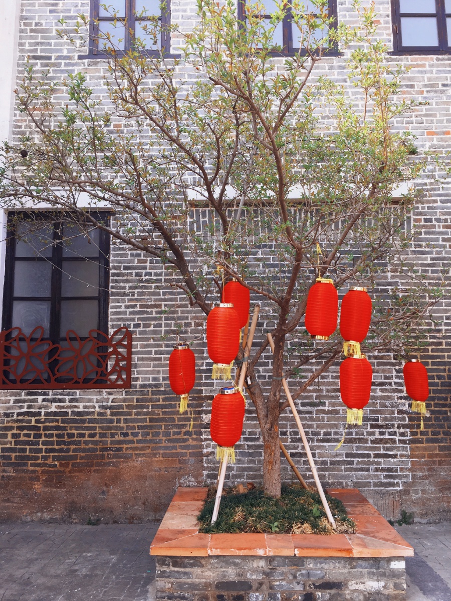 灯笼滤镜苹果版下载(灯笼app是不是流氓软件)-第7张图片-有道翻译官网