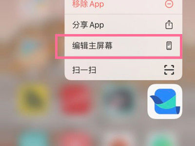 app隐藏模式苹果版(ios隐藏应用程序)-第26张图片-有道翻译官网